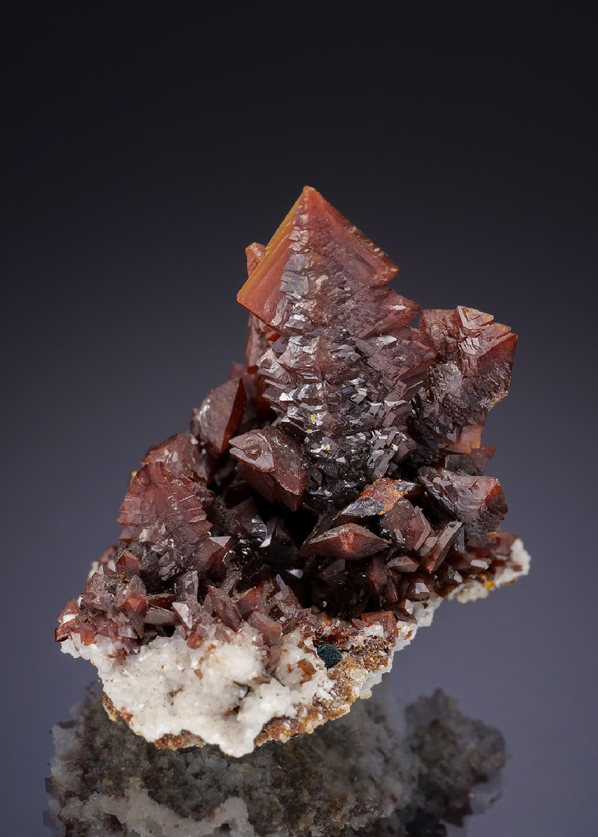 CC34460 specimen image