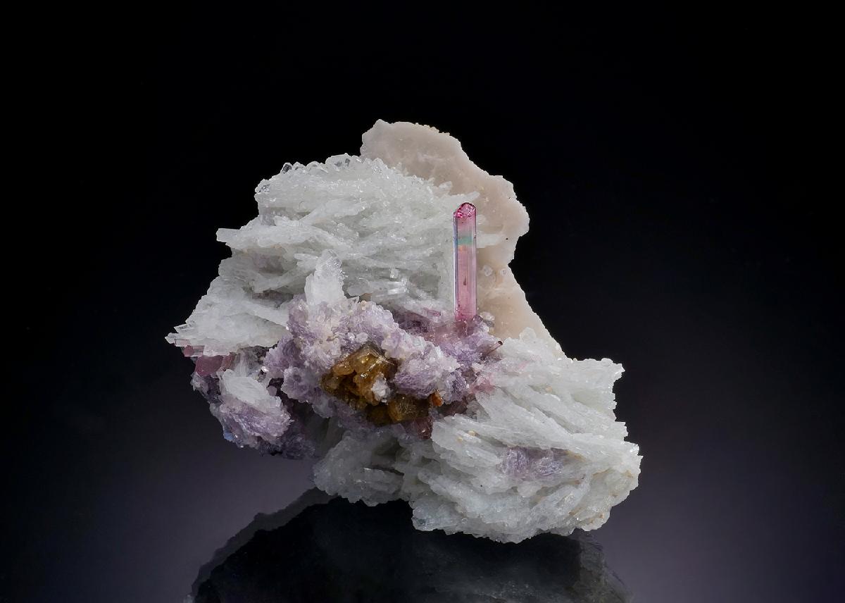 CC34508 specimen image