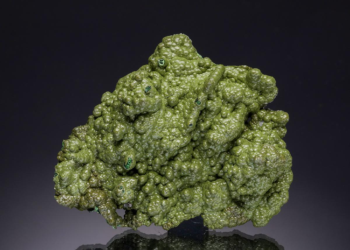 CC34574 specimen image