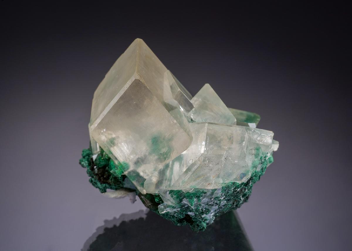 CC34598 specimen image