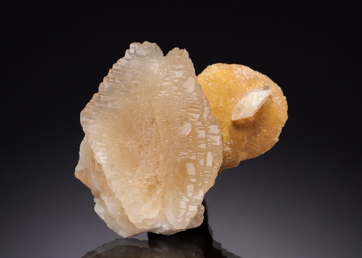 CC34637 specimen image