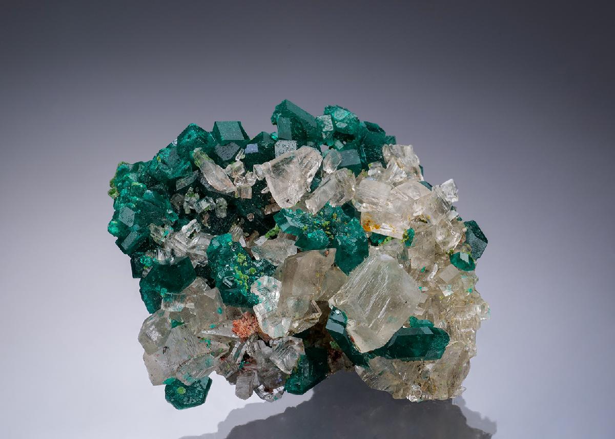 CC34670 specimen image