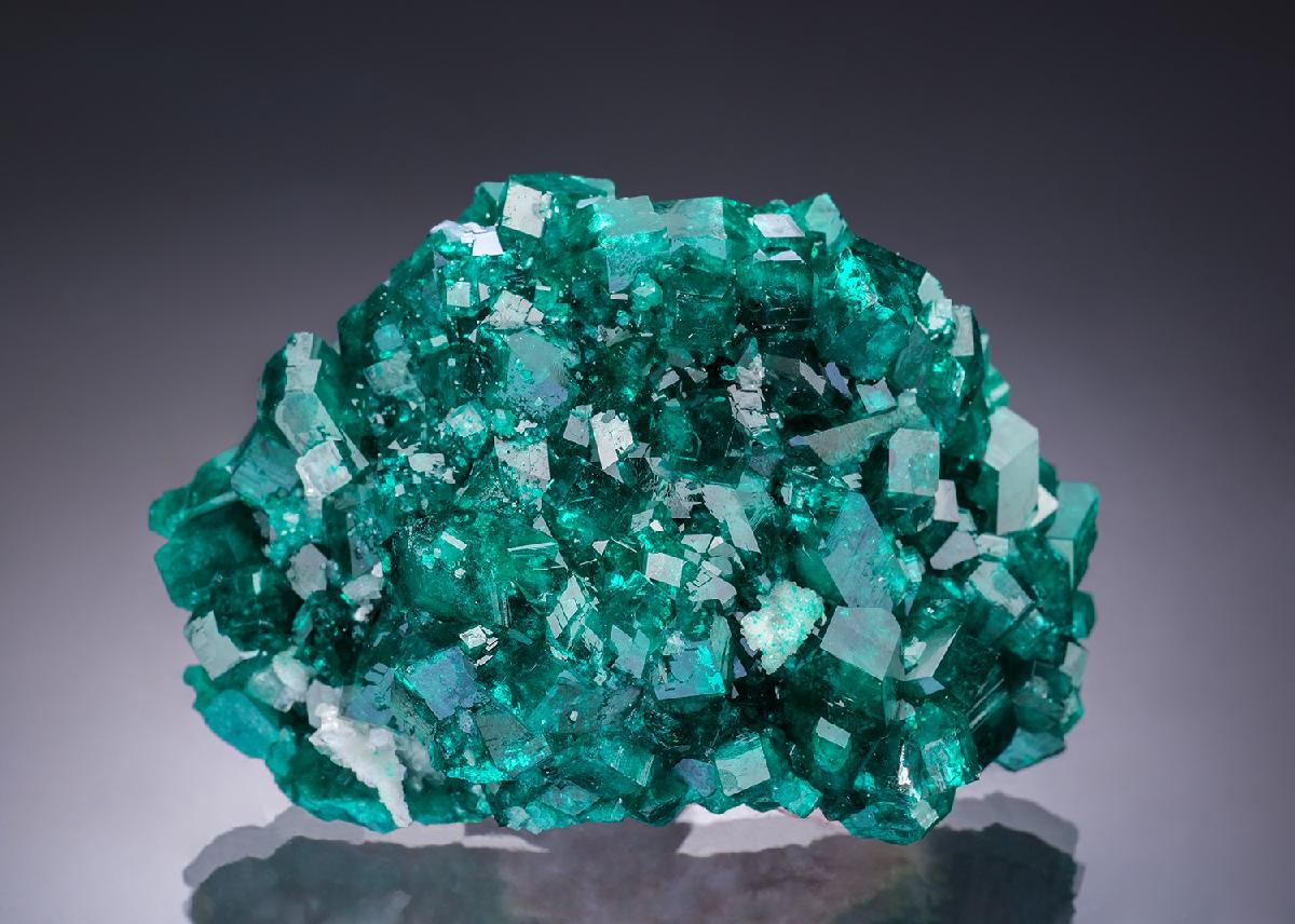 CC34682 specimen image