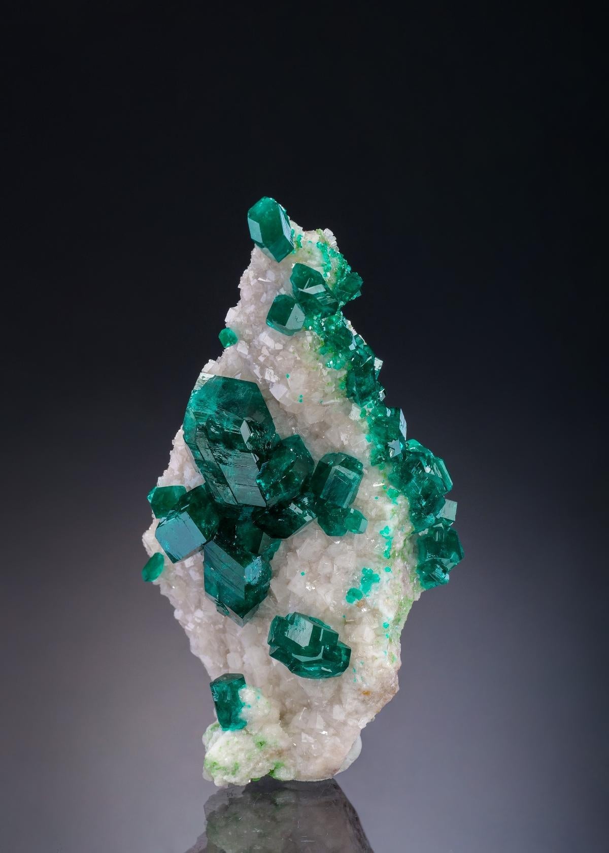 CC34736 specimen image