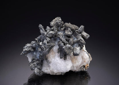 CC34763 specimen image