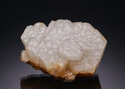 CC34769 specimen image