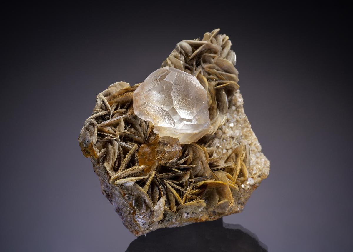 CC34874 specimen image