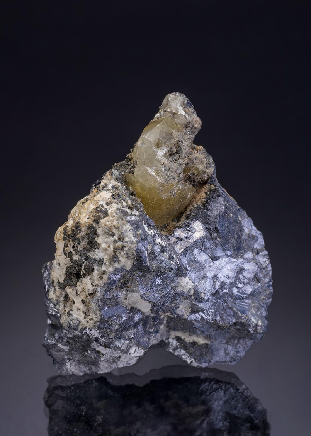 CC3494 specimen image