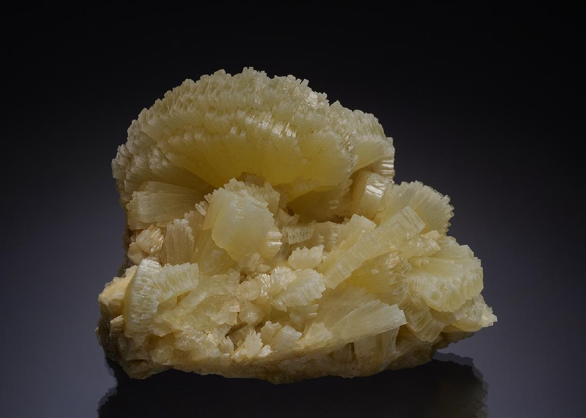 CC35000 specimen image
