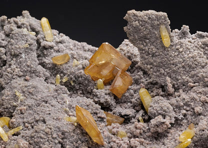 CC35009 specimen image