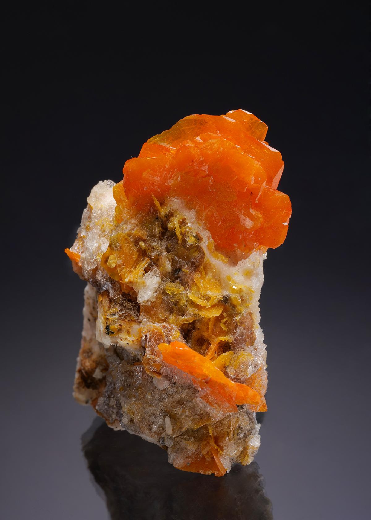 CC35018 specimen image