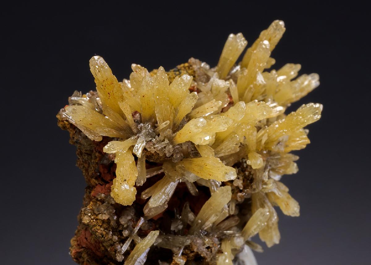 CC35021 specimen image