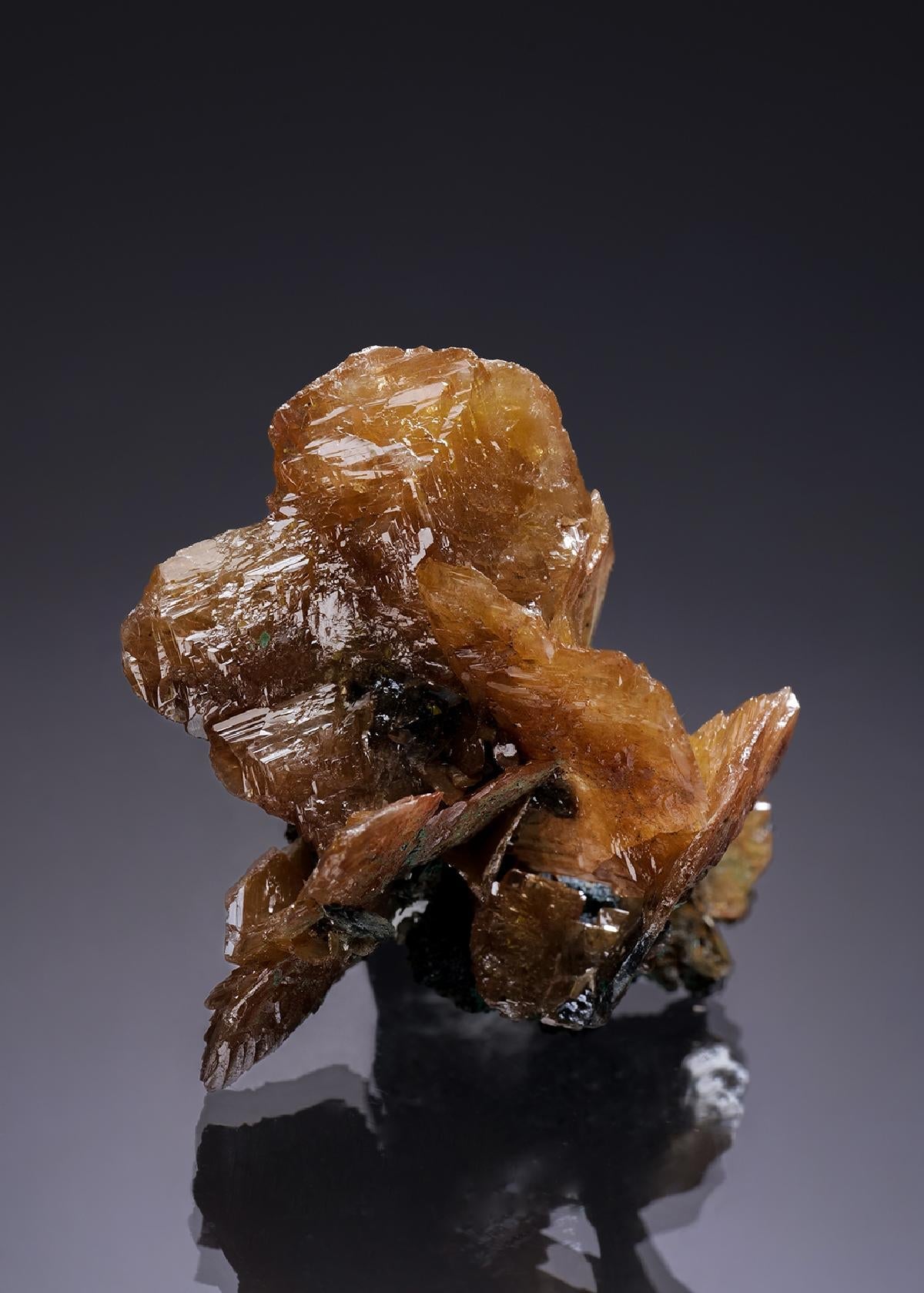 CC35024 specimen image