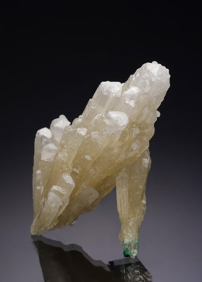 CC35033 specimen image