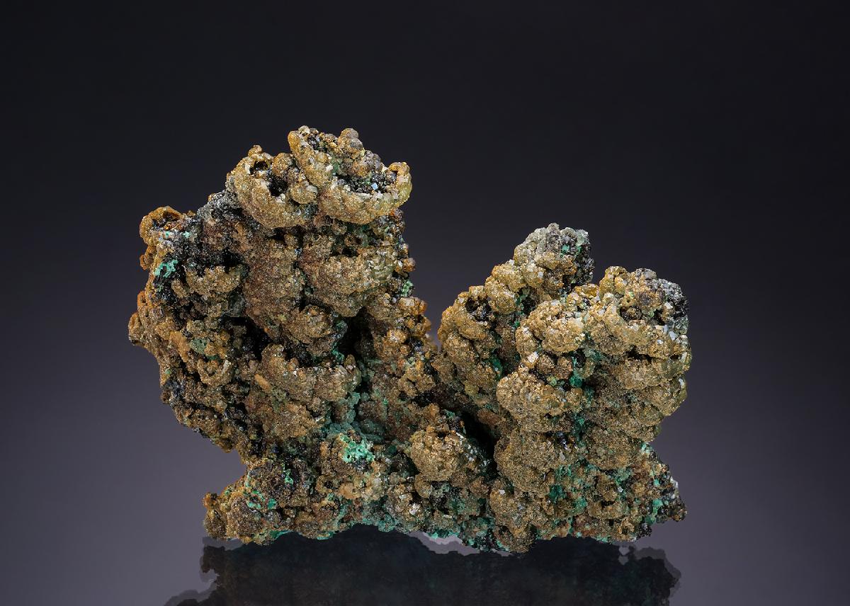 CC35066 specimen image
