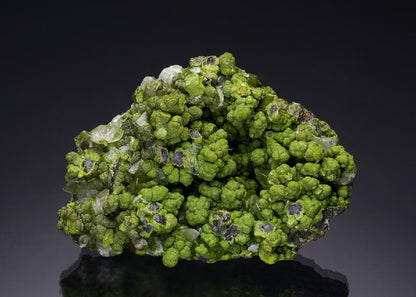 CC35147 specimen image