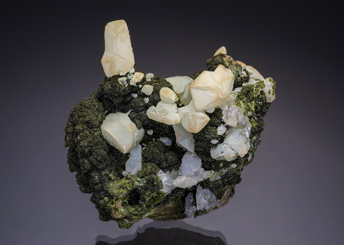 CC35165 specimen image