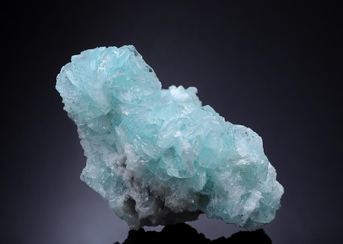 CC35481 specimen image