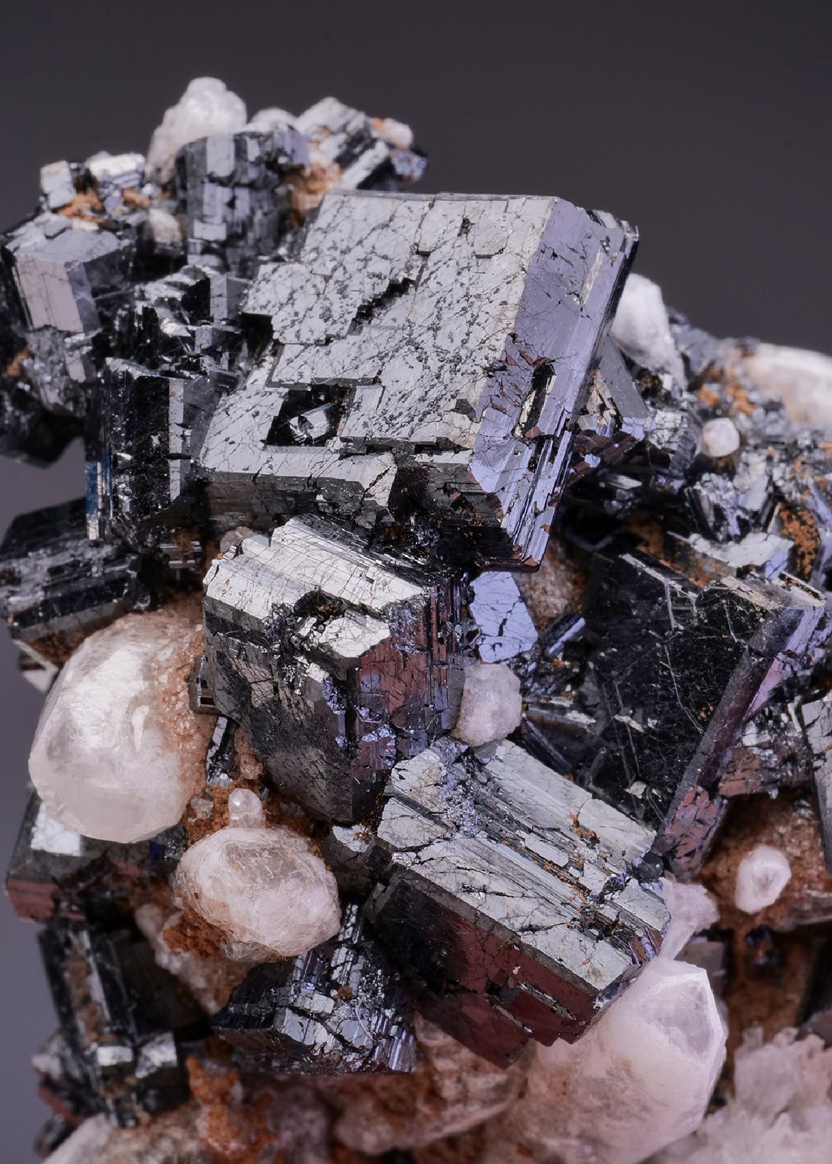 CC35904 specimen image