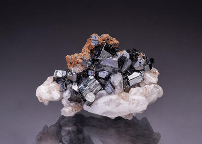 CC35928 specimen image