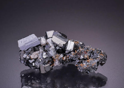 CC35938 specimen image
