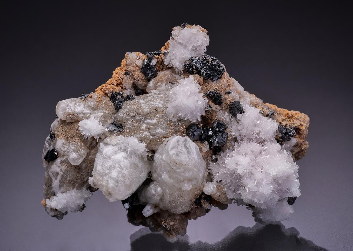 CC35972 specimen image