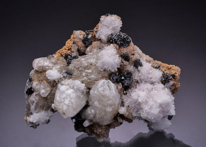 CC35972 specimen image
