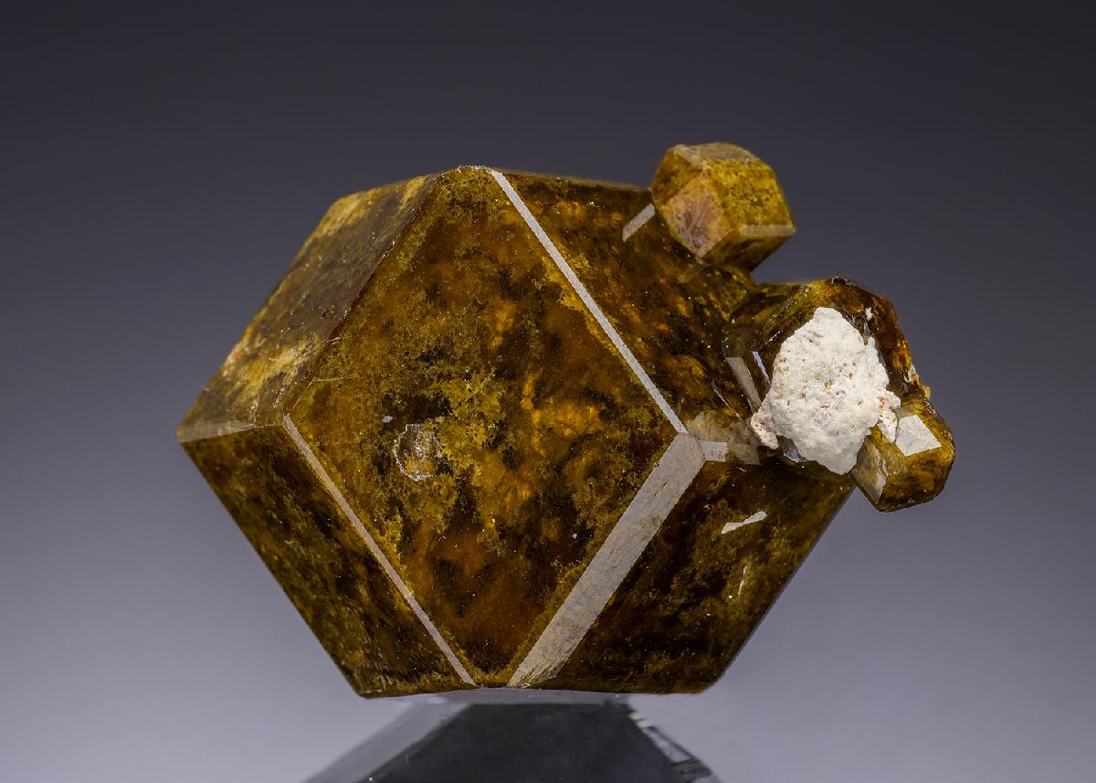 CC35988 specimen image
