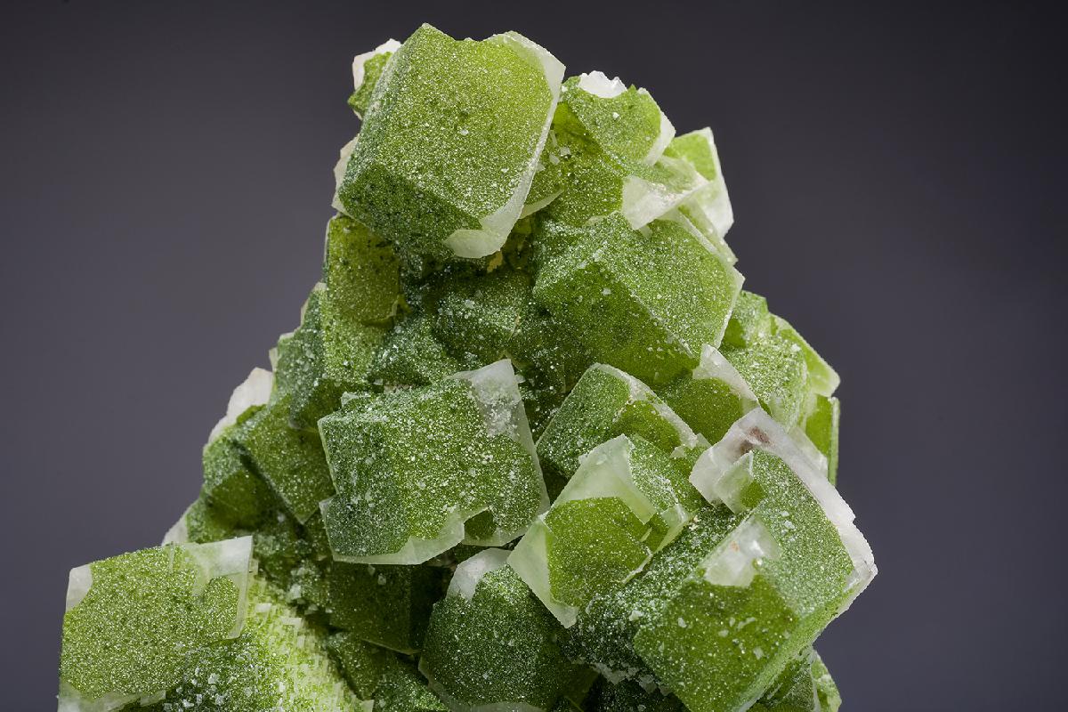 CC36050 specimen image