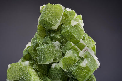 CC36050 specimen image