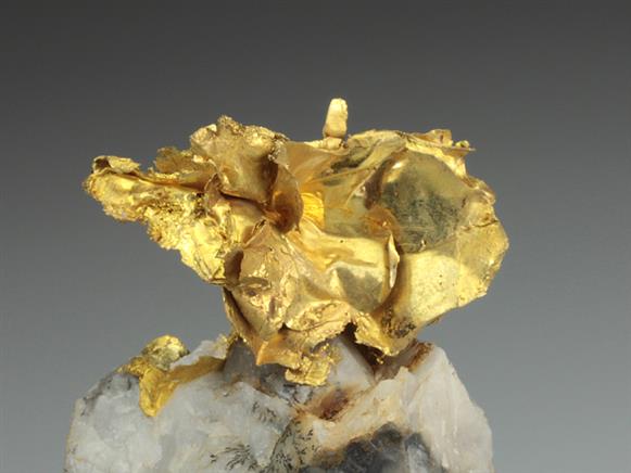 CC3626 specimen image