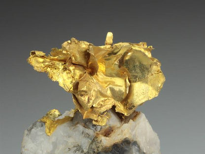 CC3626 specimen image