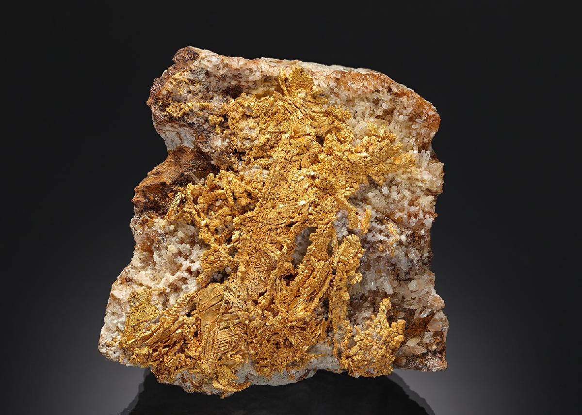 CC3631 specimen image