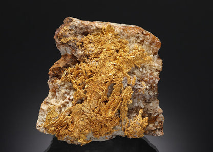 CC3631 specimen image