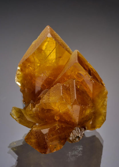 CC36431 specimen image