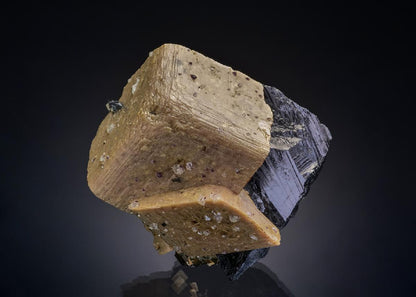 CC36452 specimen image