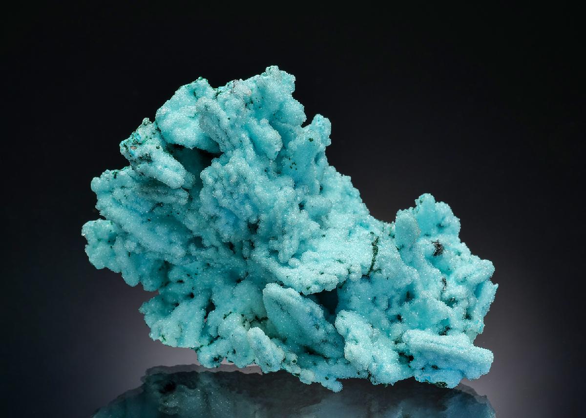 CC36470 specimen image