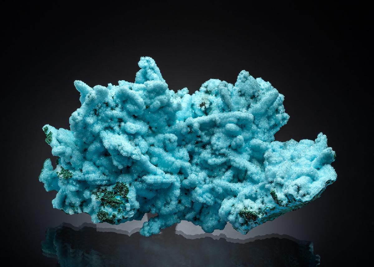 CC36472 specimen image