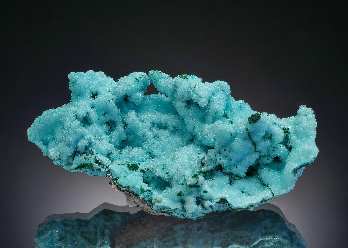 CC36484 specimen image