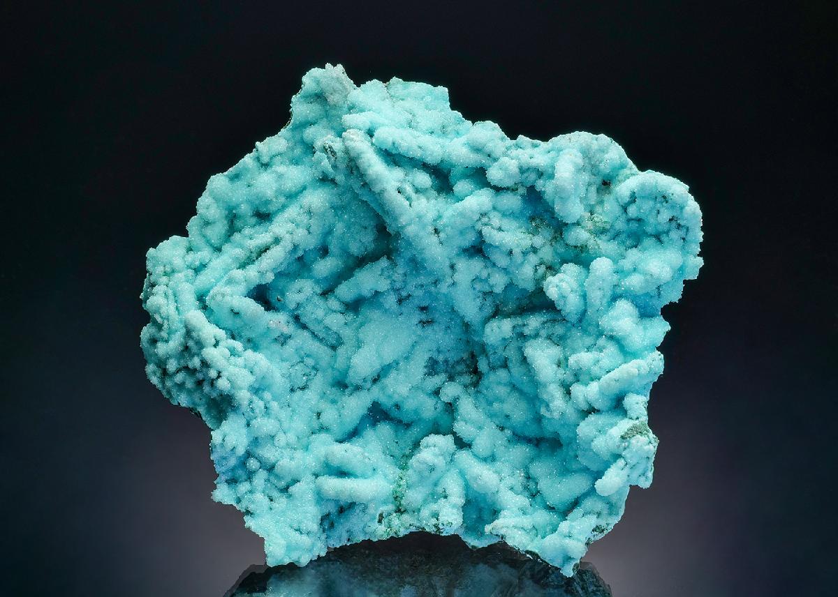 CC36490 specimen image