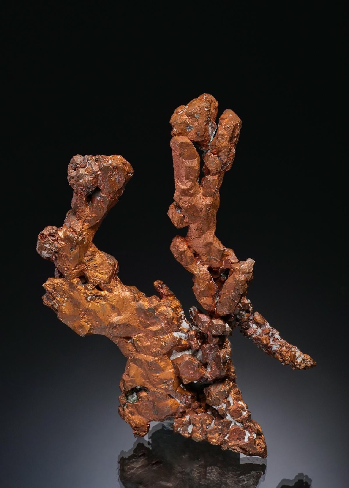 CC36514 specimen image