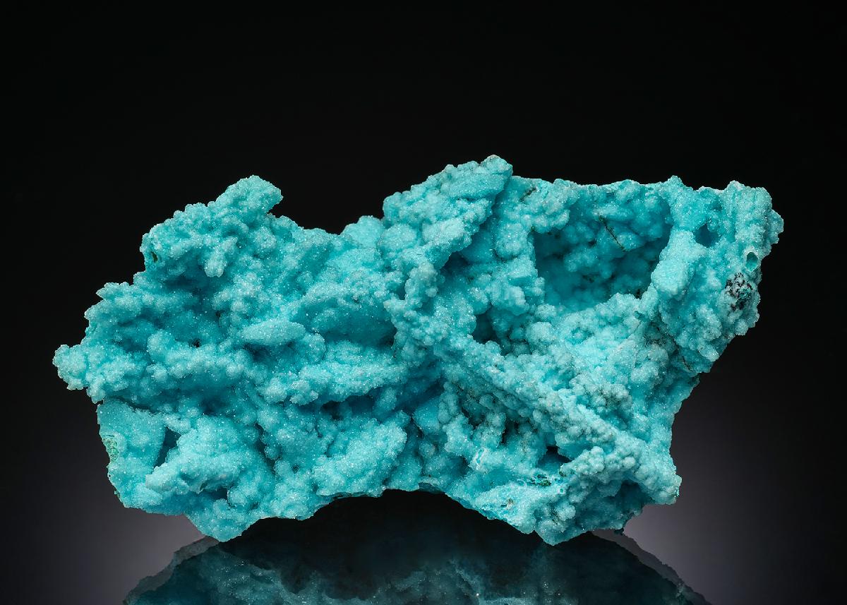 CC36518 specimen image