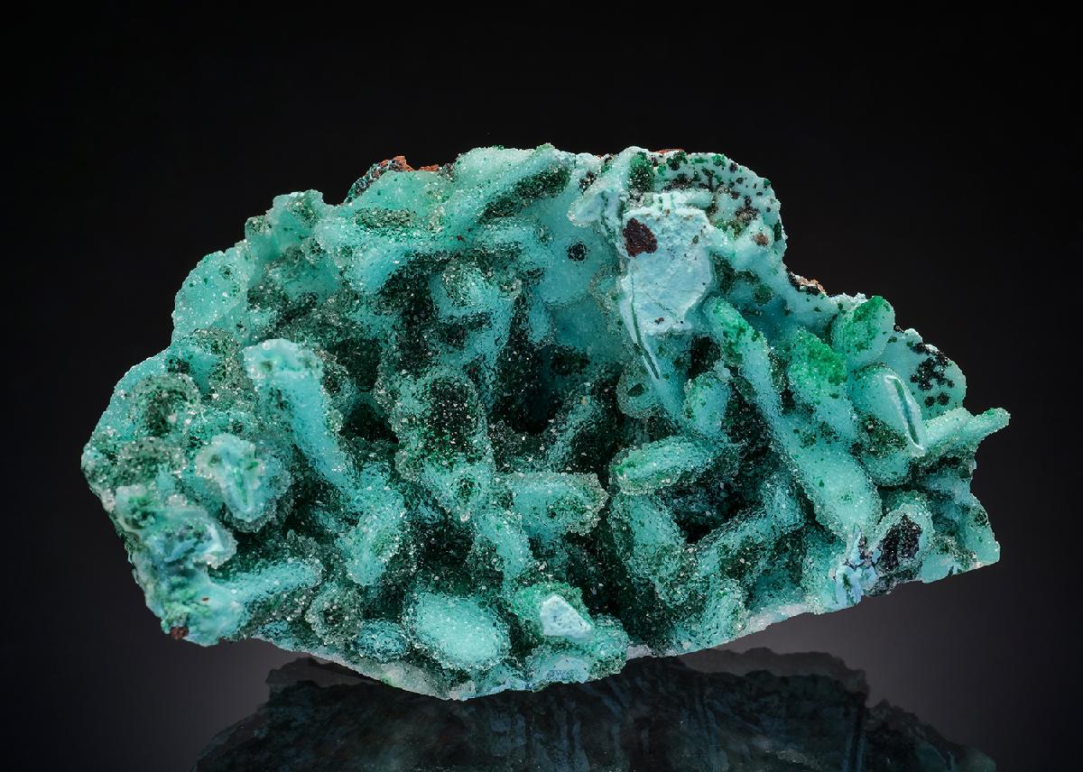 CC36543 specimen image