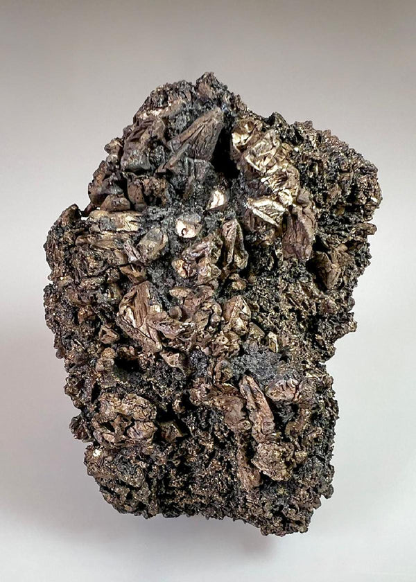 CC36657 specimen image