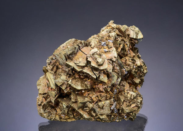 CC36795 specimen image