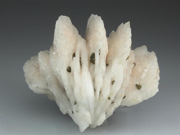 CC3682 specimen image