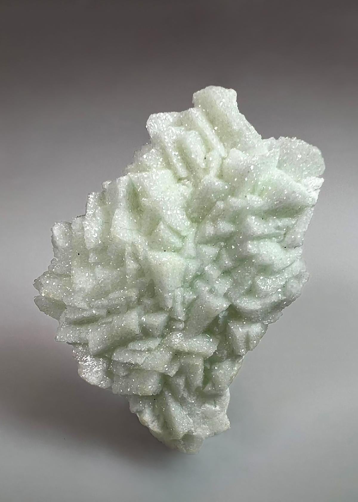 CC36894 specimen image
