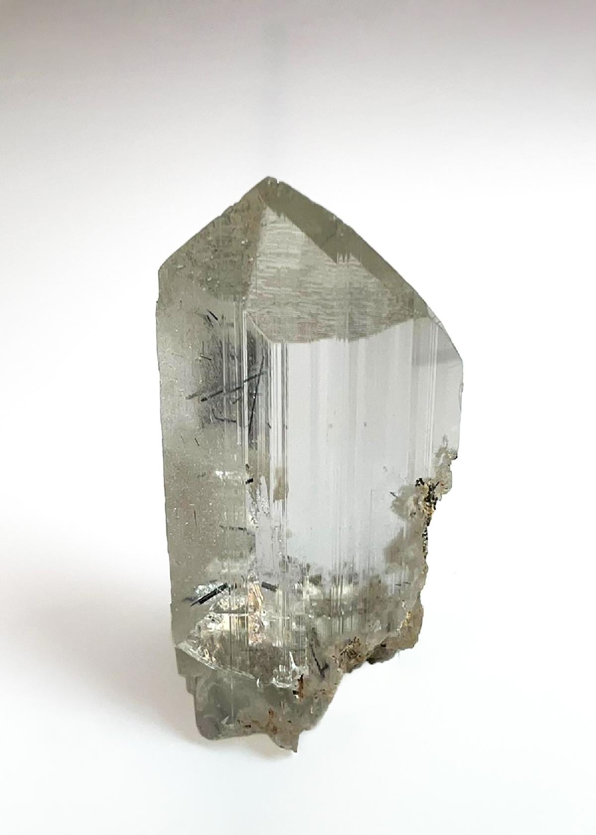 CC36948 specimen image