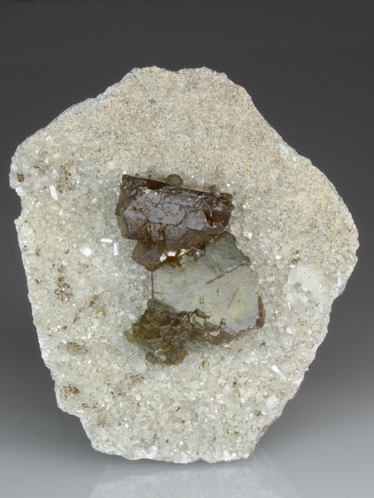 CC3700 specimen image