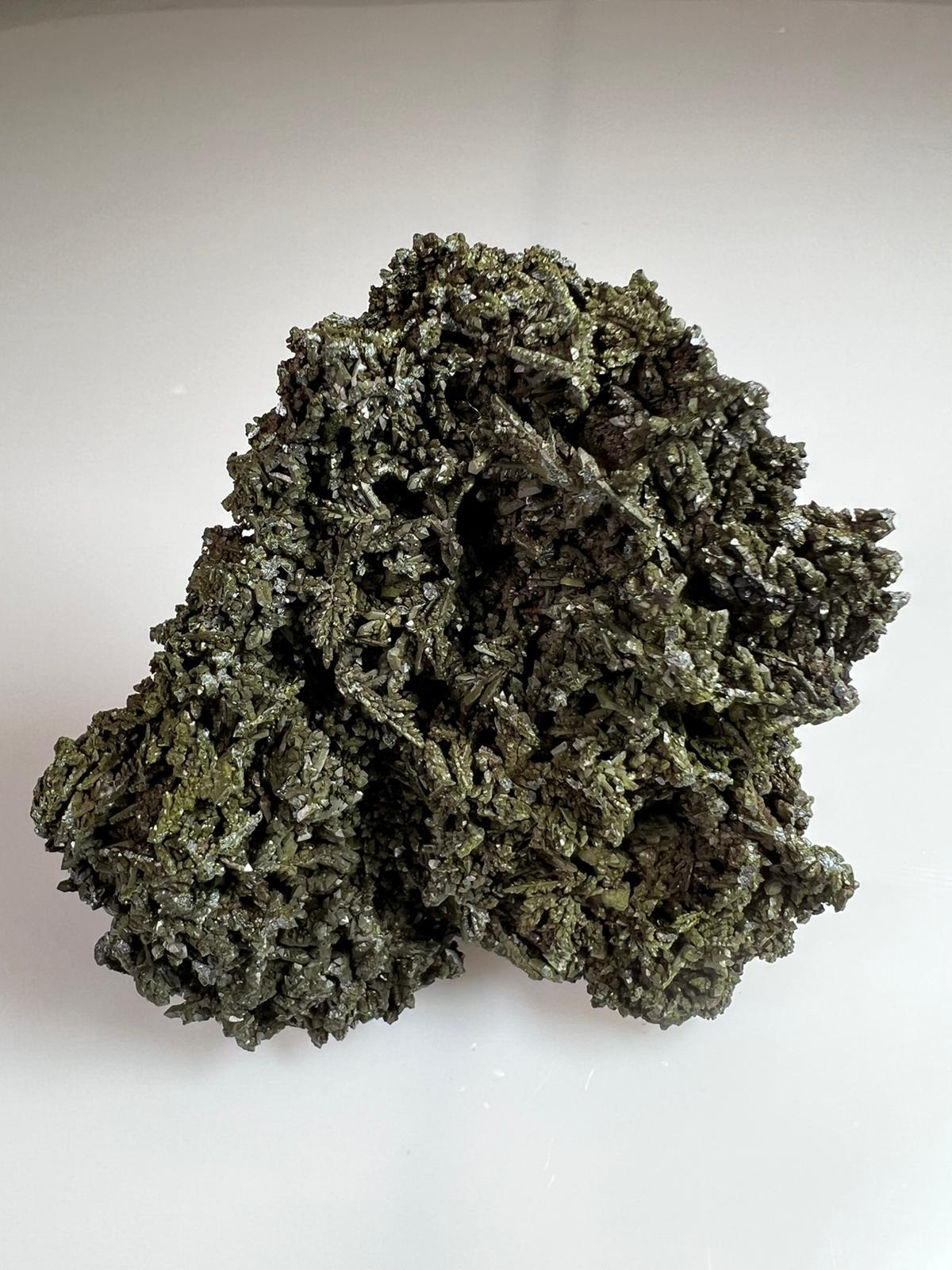 CC37038 specimen image